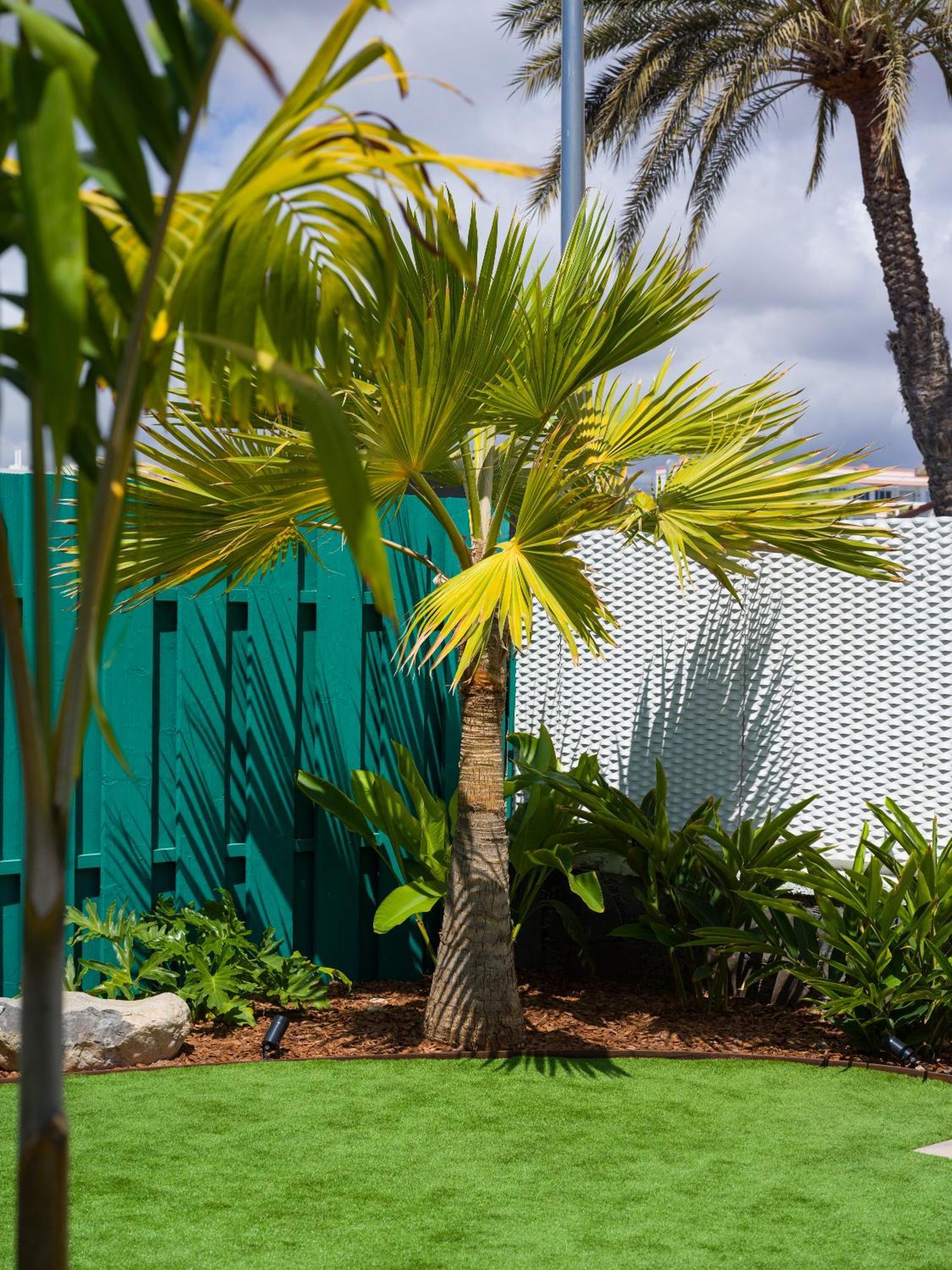 Miami Queens Villa With Private Pool By Tenpropertiesgc San Bartolomé Екстериор снимка